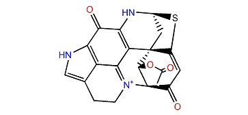 1-Acetyl-discorhabdin L
